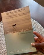The Untethered Soul: The Journey Beyond Yourself