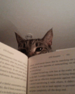 10% Happier 10th Anniversary: How I Tamed the Voice in My Head, Reduced Stress Without Losing My Edge, and Found Self-Help That Actually Works--A True Story - Image 2