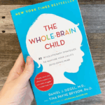 The Whole-Brain Child: 12 Revolutionary Strategies to Nurture Your Child's Developing Mind
