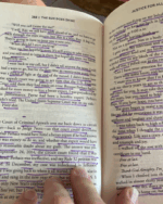 The Sun Does Shine: How I Found Life, Freedom, and Justice - Image 3