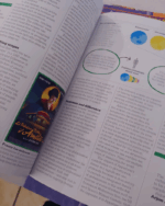 The Sociology Book: Big Ideas Simply Explained (DK Big Ideas) - Image 2