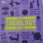 The Sociology Book: Big Ideas Simply Explained (DK Big Ideas)