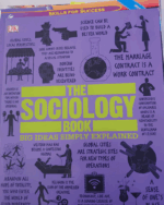 The Sociology Book: Big Ideas Simply Explained (DK Big Ideas)