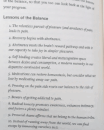 Dopamine Nation: Finding Balance in the Age of Indulgence - Image 3