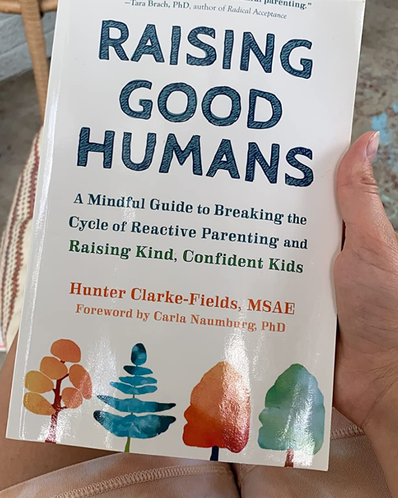 978-1648485244.png Raising Good Humans: A Mindful Guide to Breaking the Cycle of Reactive Parenting and Raising Kind, Confident Kids - Image 1