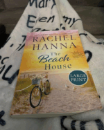 The Beach House (South Carolina Sunsets)