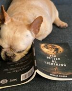 You Better Be Lightning (Button Poetry) - Image 2