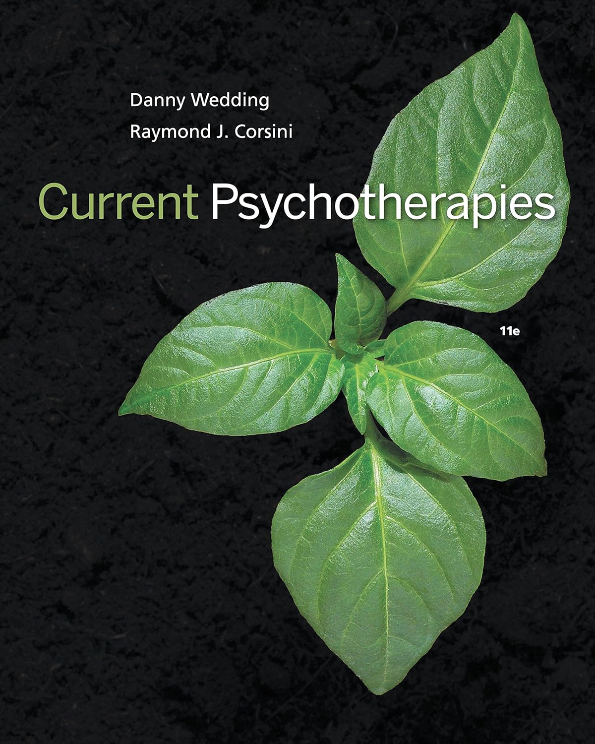 0571e0ce3dd070715dd93887758da9092b607a137ac9842cada58bba161d9c1e.jpg Current Psychotherapies 11th Edition - Image 1