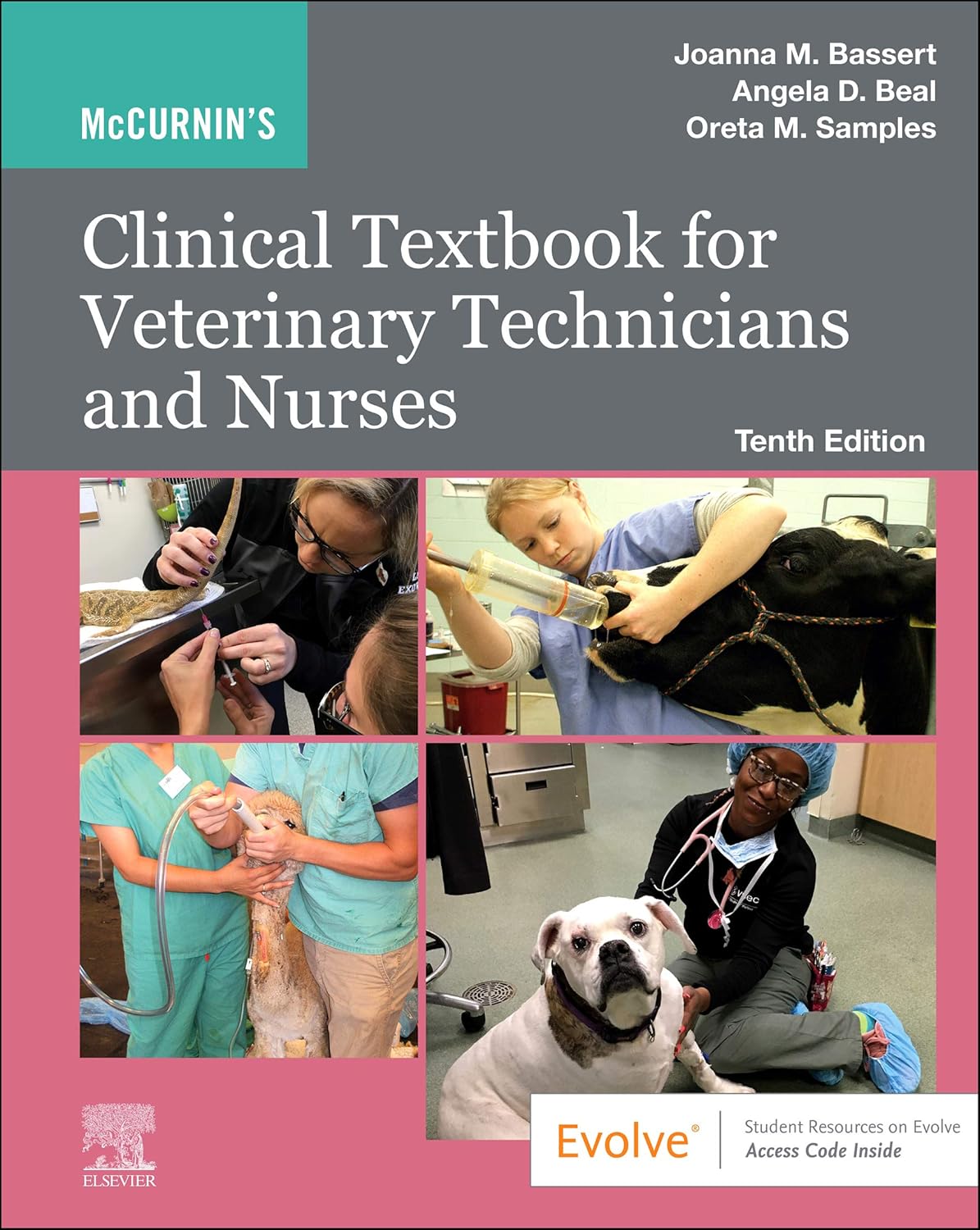 2afd87045429a5a678dbf930ec1a75d386d34888dee6b63223ad03642261d519.jpg McCurnin's Clinical Textbook for Veterinary Technicians and Nurses 10th Edition - Image 1
