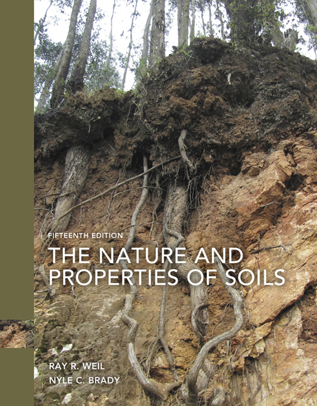 9780133493368.jpg The Nature and Properties of Soils 15th Edition - Image 1