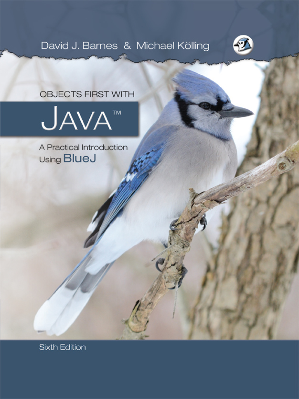 9780134478449.jpg Objects First with Java 6th Edition A Practical Introduction Using BlueJ - Image 1