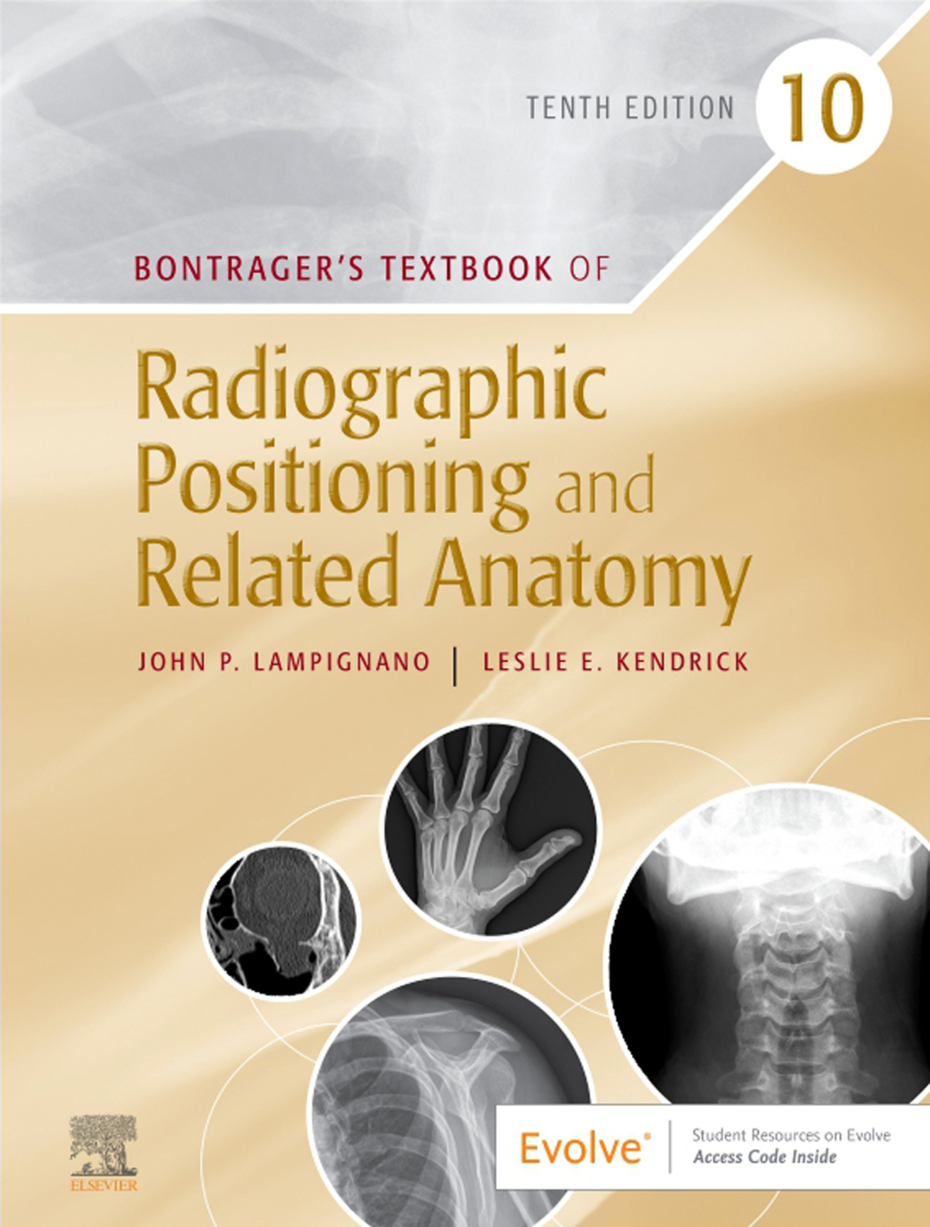 9780323696548-1.jpg Bontrager's Textbook of Radiographic Positioning and Related Anatomy 10th Edition - Image 1