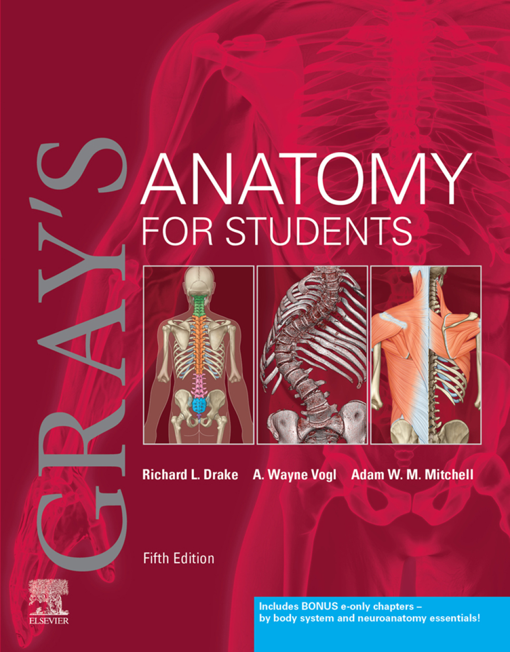 9780323935050.jpg Gray's Anatomy for Students 5th Edition - Image 1