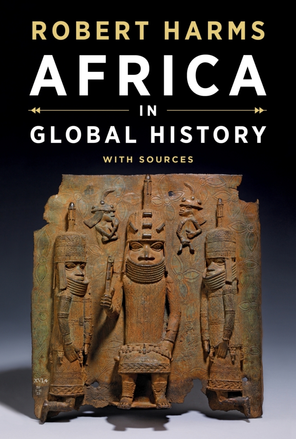 9780393643190.jpg Africa in Global History with Sources 1st Edition - Image 1
