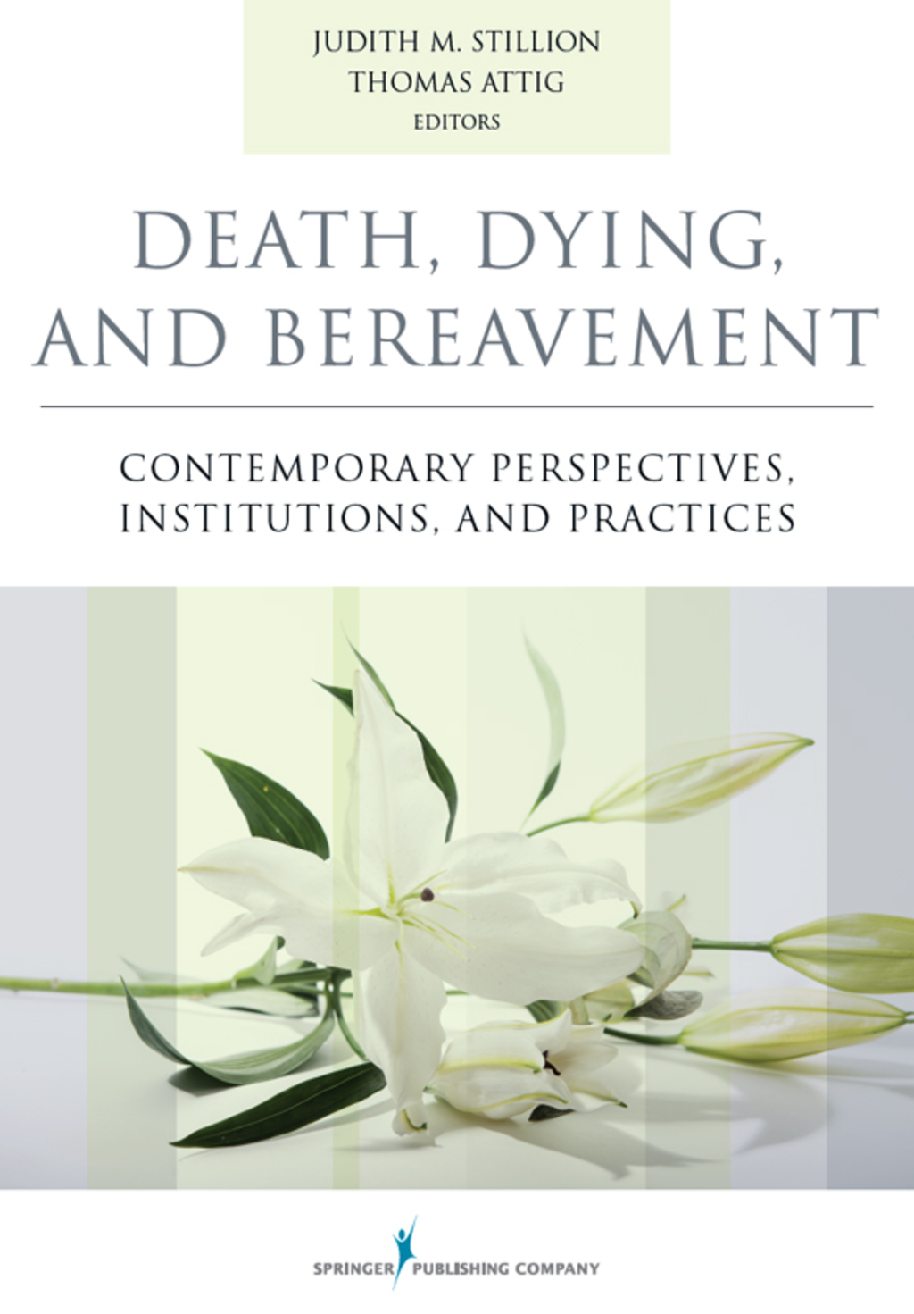 9780826171429.jpg Death, Dying, and Bereavement 1st edition Contemporary Perspectives, Institutions, and Practices - Image 1