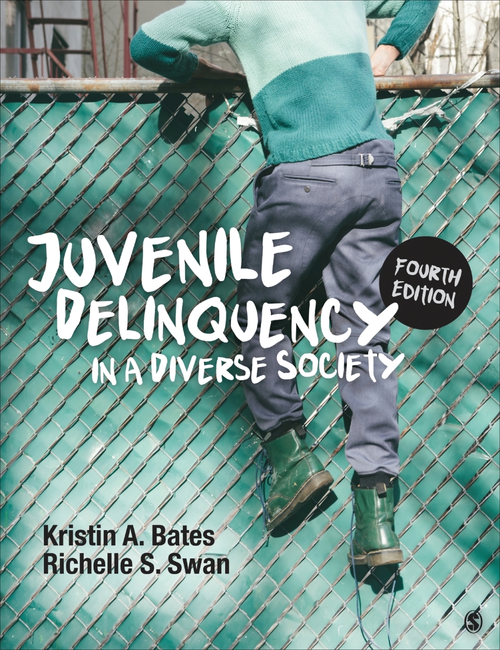 9781071862278.jpg Juvenile Delinquency in a Diverse Society 4th Edition - Image 1