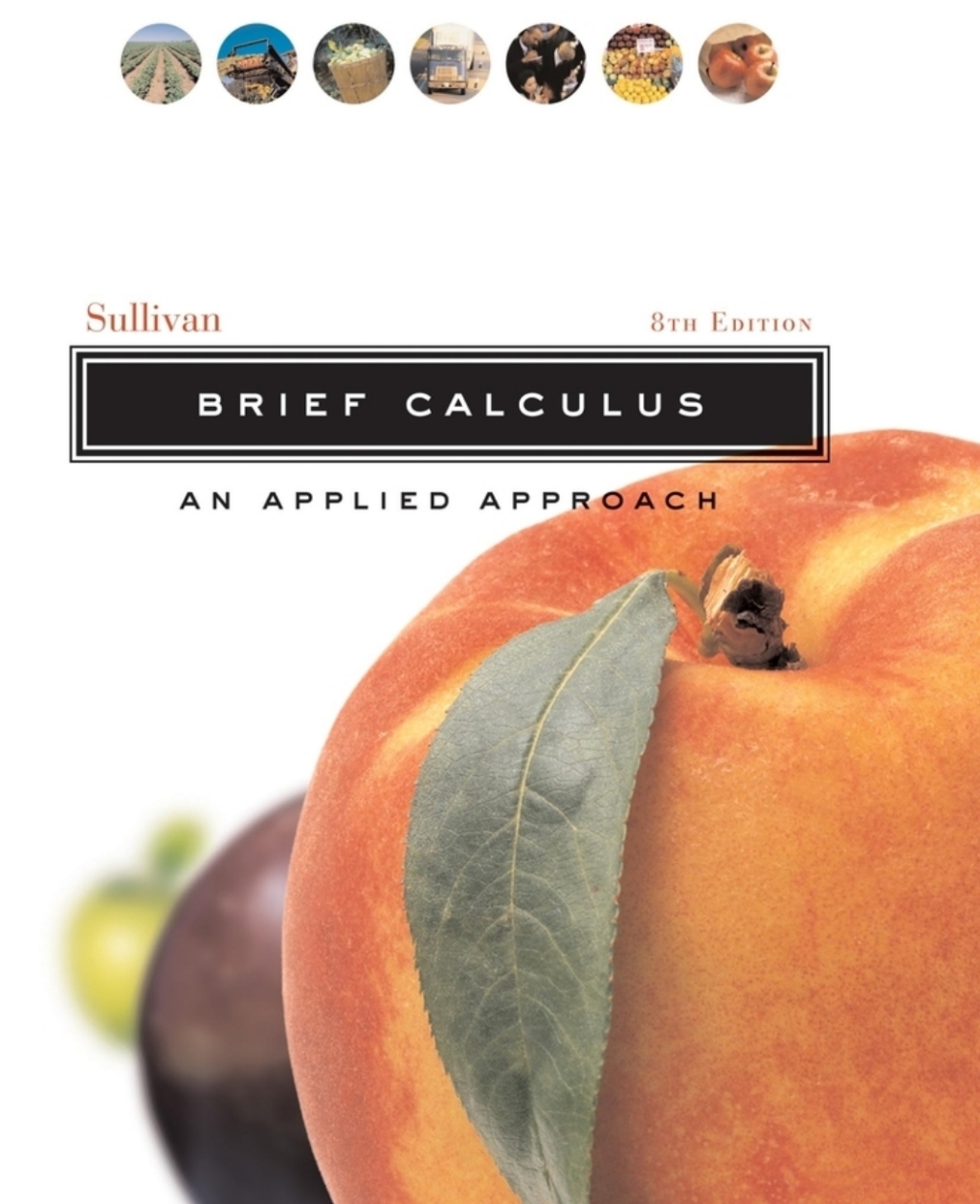 9781119868880.jpg Brief Calculus - An Applied Approach 8th Edition - Image 1