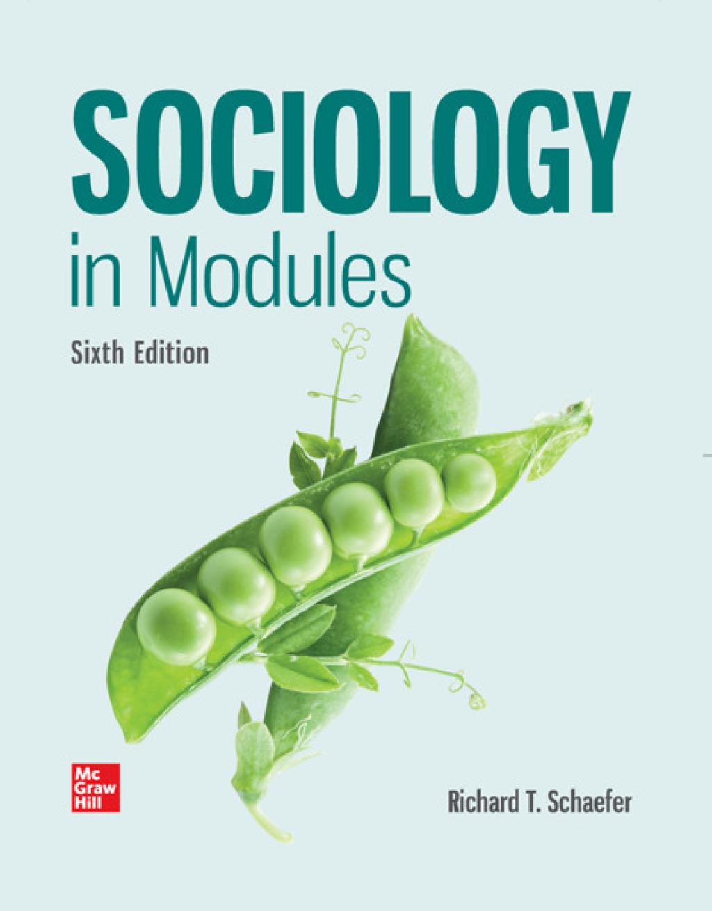9781264113170.jpg Sociology in Modules 6th Edition - Image 1