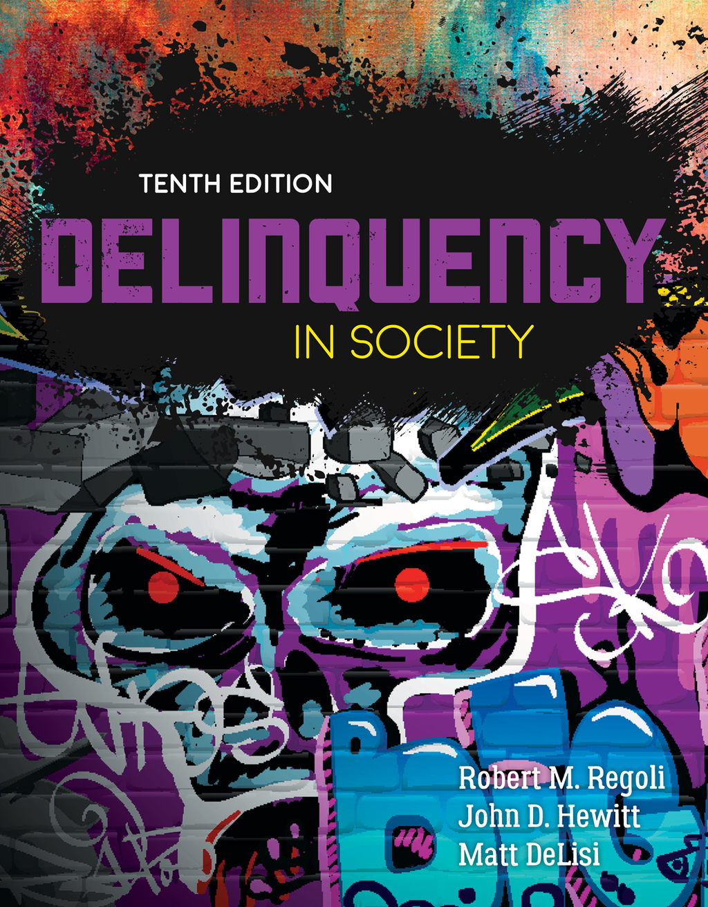 9781284126419.jpg Delinquency in Society 10th Edition - Image 1
