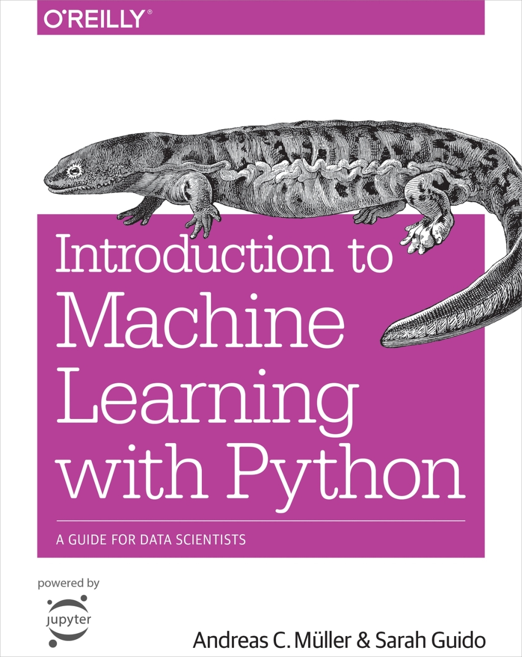 9781449369897.jpg Introduction to Machine Learning with Python 1st edition A Guide for Data Scientists - Image 1