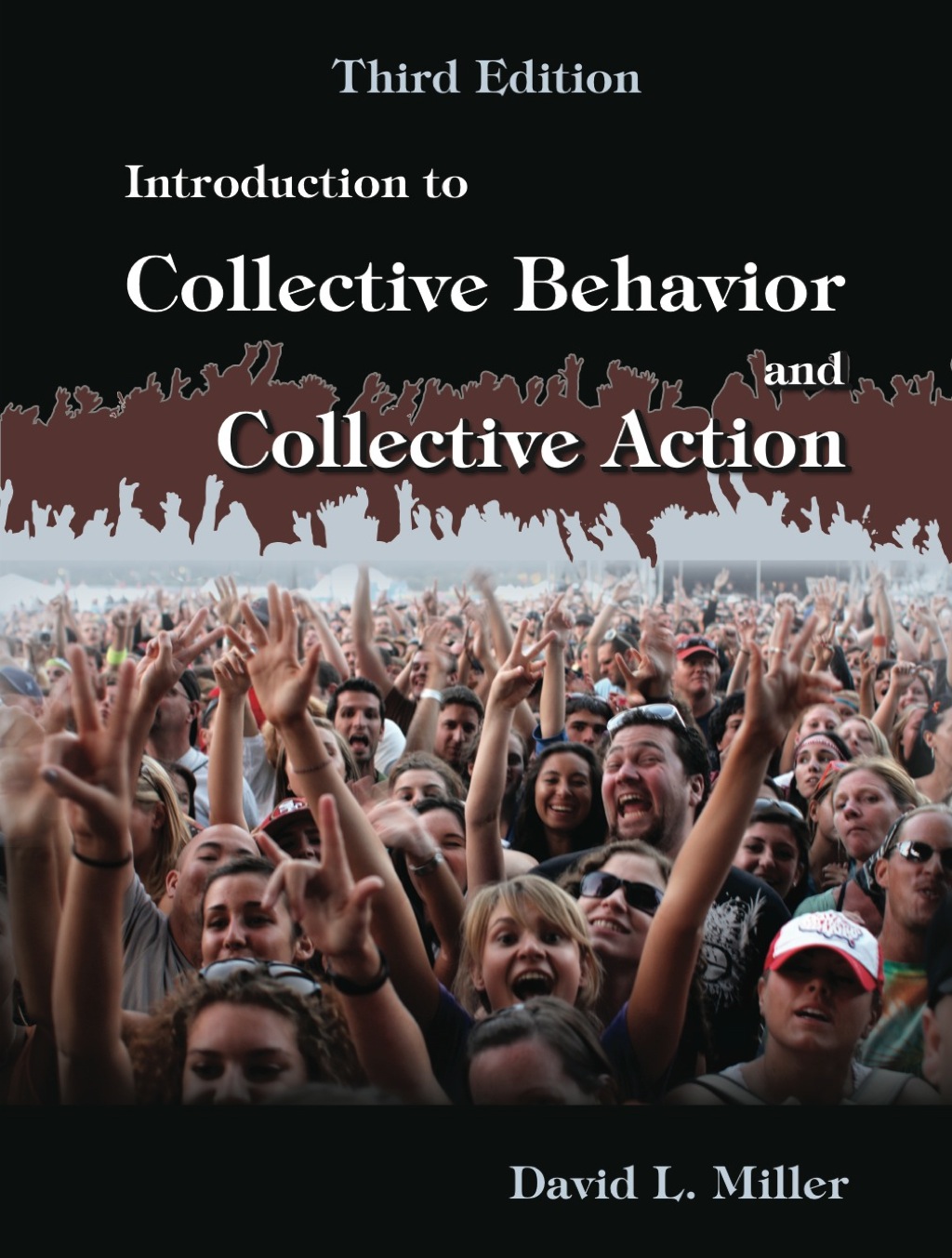9781478610991.jpg Introduction to Collective Behavior and Collection Action 3rd Edition - Image 1