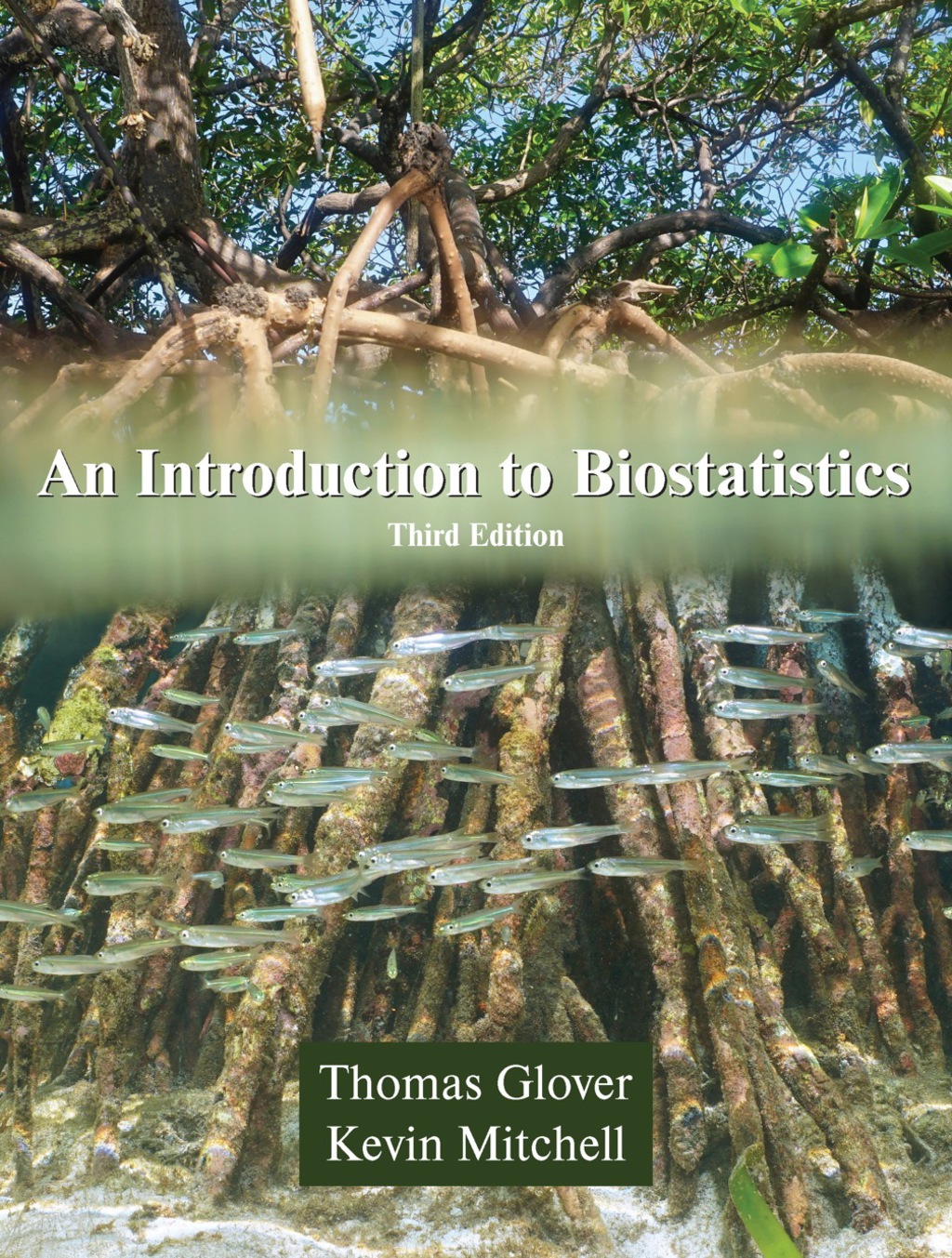 9781478630548.jpg An Introduction to Biostatistics 3rd Edition - Image 1