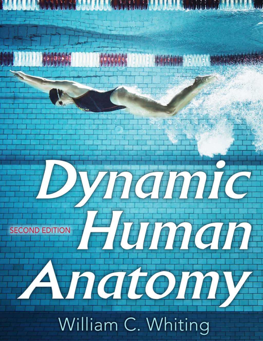 9781492588689.jpg Dynamic Human Anatomy 2nd Edition - Image 1
