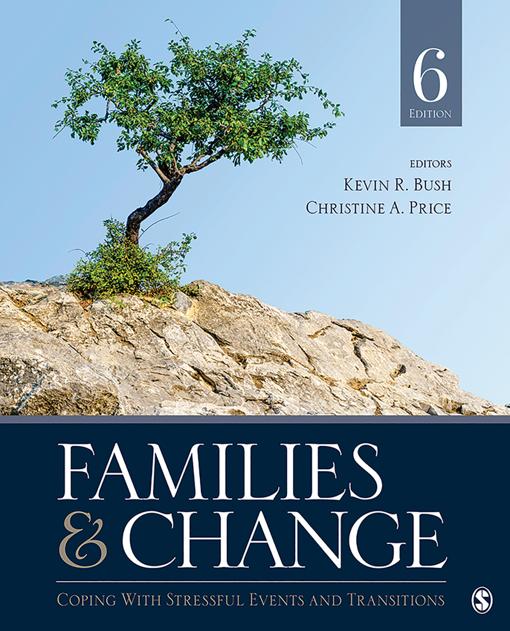 9781544371191.jpg Families and Change 6th Edition Coping With Stressful Events and Transitions - Image 1