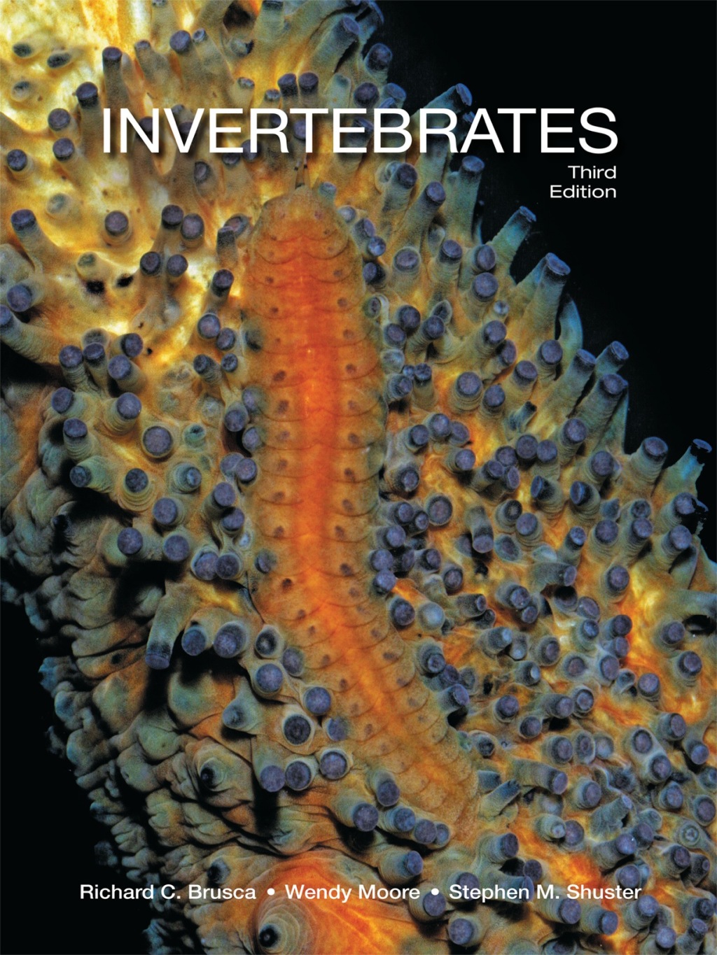 9781605355931.jpg Invertebrates 3rd Edition - Image 1