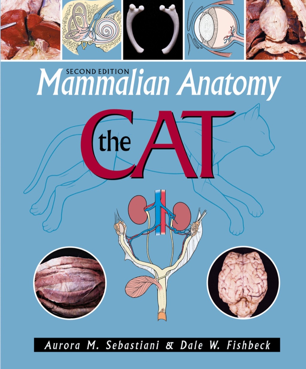 9781617310003.jpg Mammalian Anatomy - The Cat 2nd Edition - Image 1