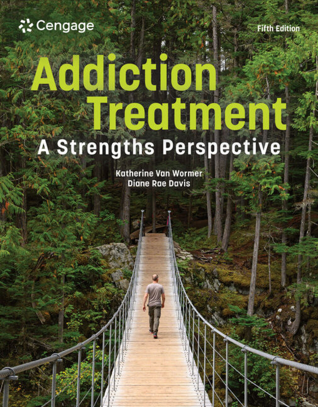 9798214125862.jpg Addiction Treatment - A Strengths Perspective 5th Edition - Image 1