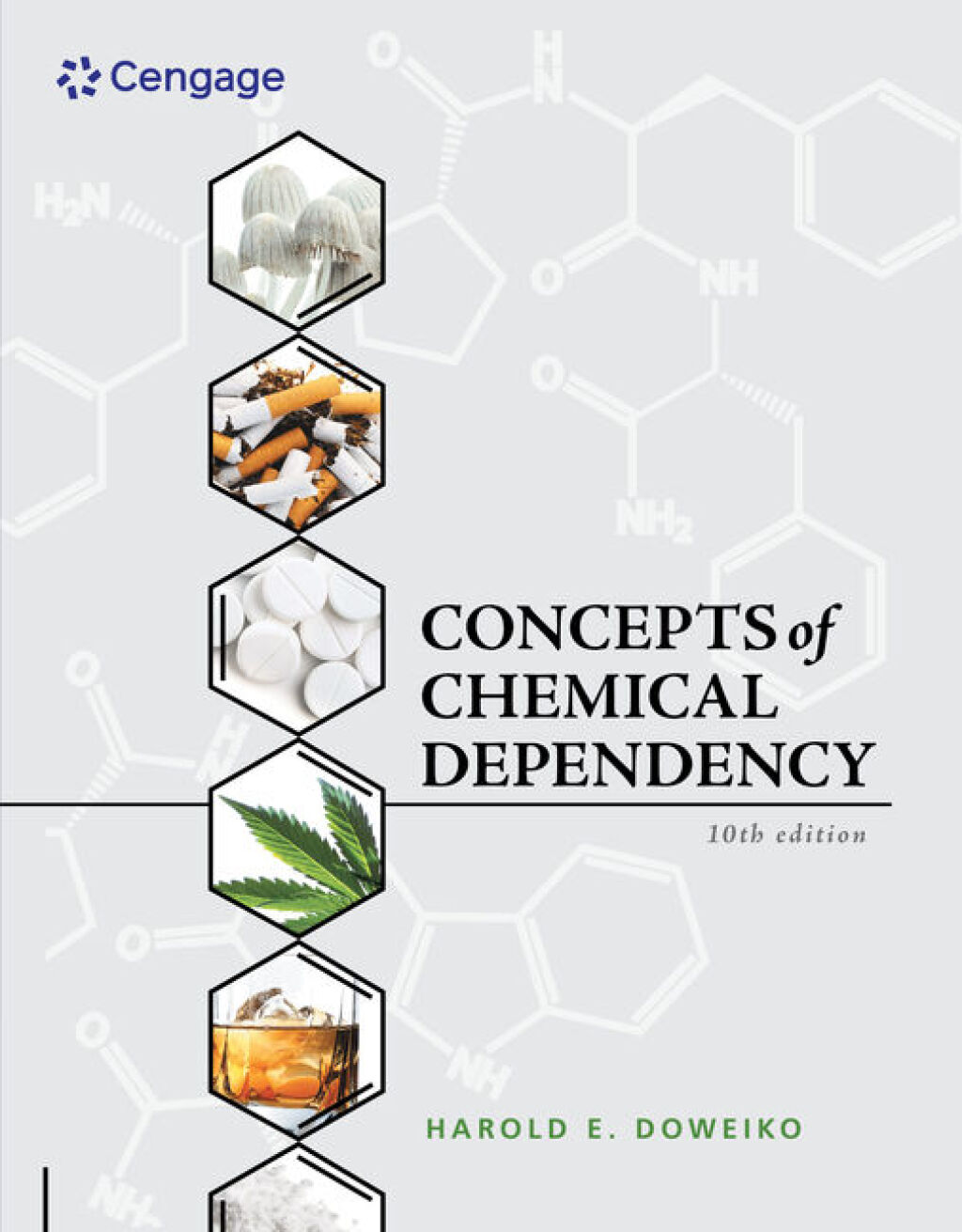9798214340456.jpg Concepts of Chemical Dependency 10th Edition - Image 1