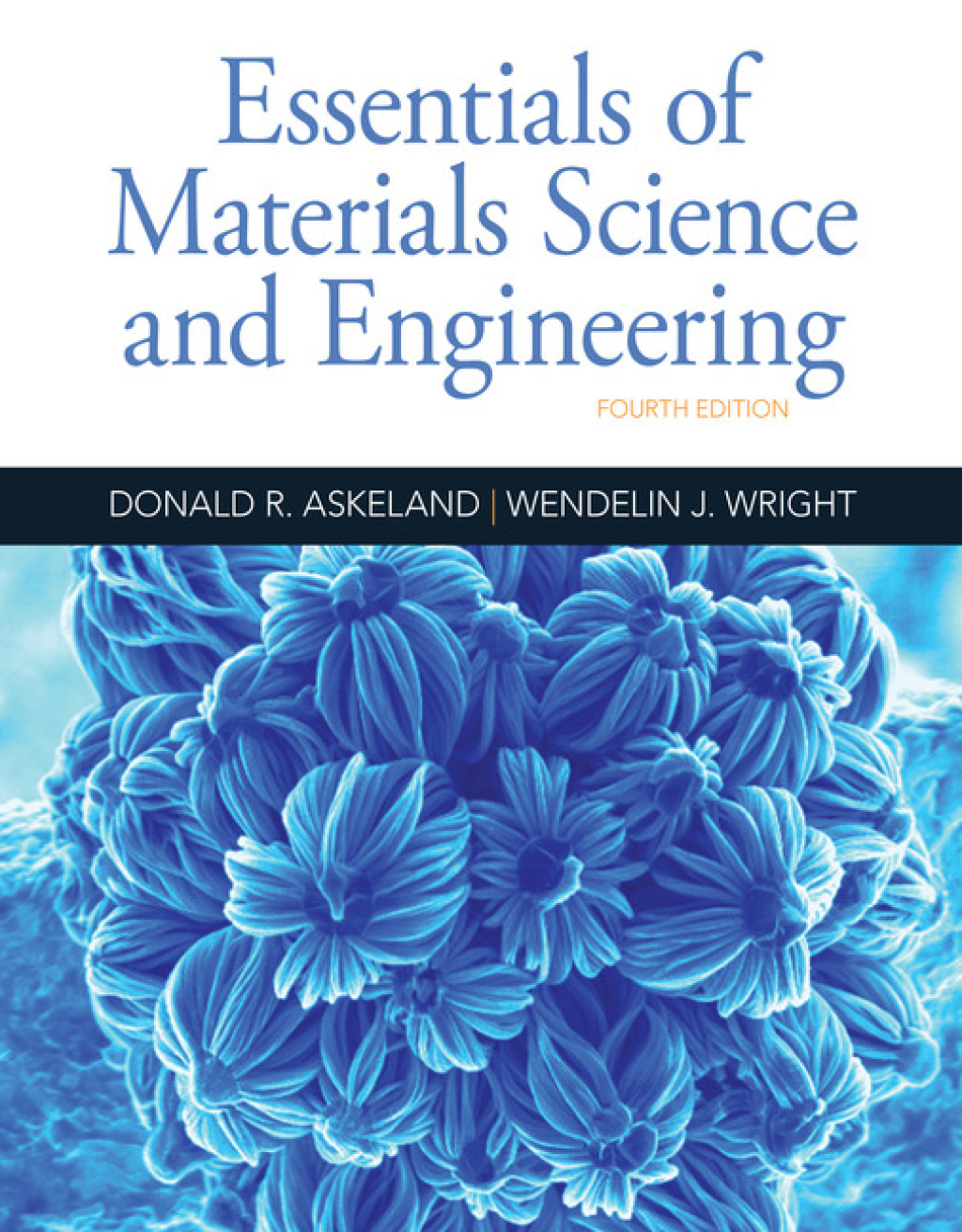 9798214343082.jpg Essentials of Materials Science and Engineering 4th Edition - Image 1