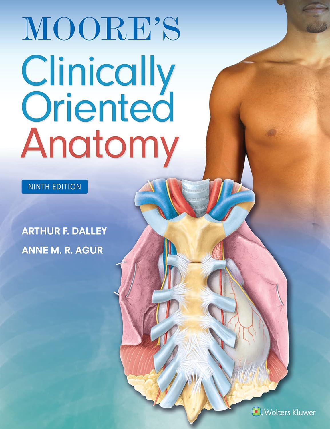 cfd2f422f236812552e306e53bc967d02901f738ab3764b85795e132352e9489.jpg Moore's Clinically Oriented Anatomy 9th Edition - Image 1