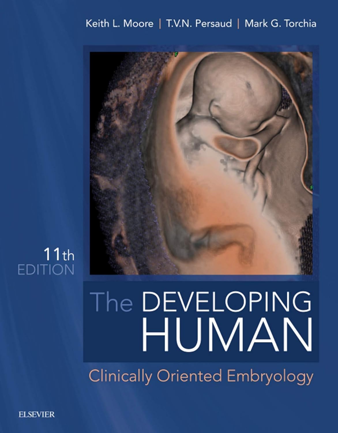 efd64ba476c06480637f67874bf1291159ea147333249a7a9354f5c36d702790.jpg The Developing Human 11th Edition - Image 1