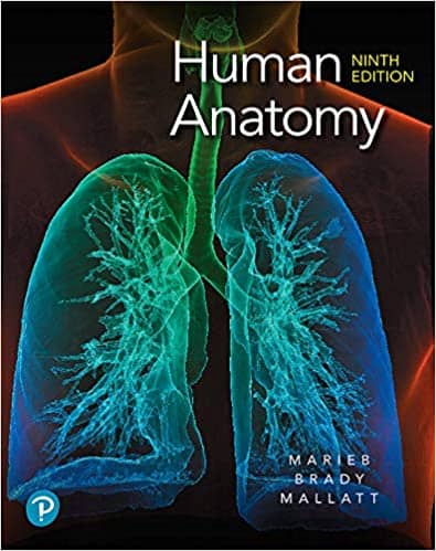 human-anatomy-the-ultimate-guide-to-the-human-body-9th-edition.jpg Human Anatomy - The Ultimate Guide to the Human Body 9th Edition - Image 1