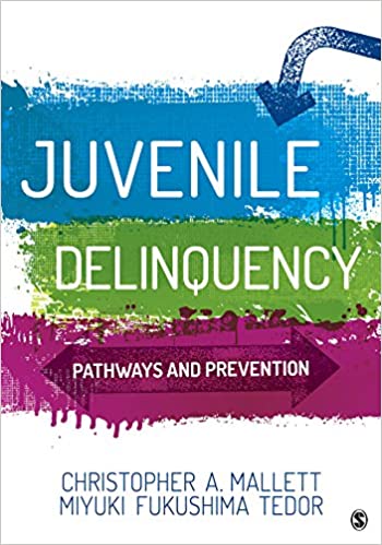 juvenile-delinquency-pathways-and-prevention.jpg Juvenile Delinquency - Pathways and Prevention - Image 1
