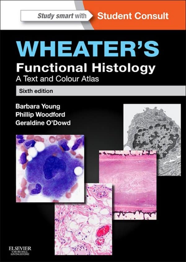 wheater-functional-histology-a-comprehensive-text-and-atlas-for-medical-students.jpg Wheater's Functional Histology - A Comprehensive Text and Atlas for Medical Students - Image 1